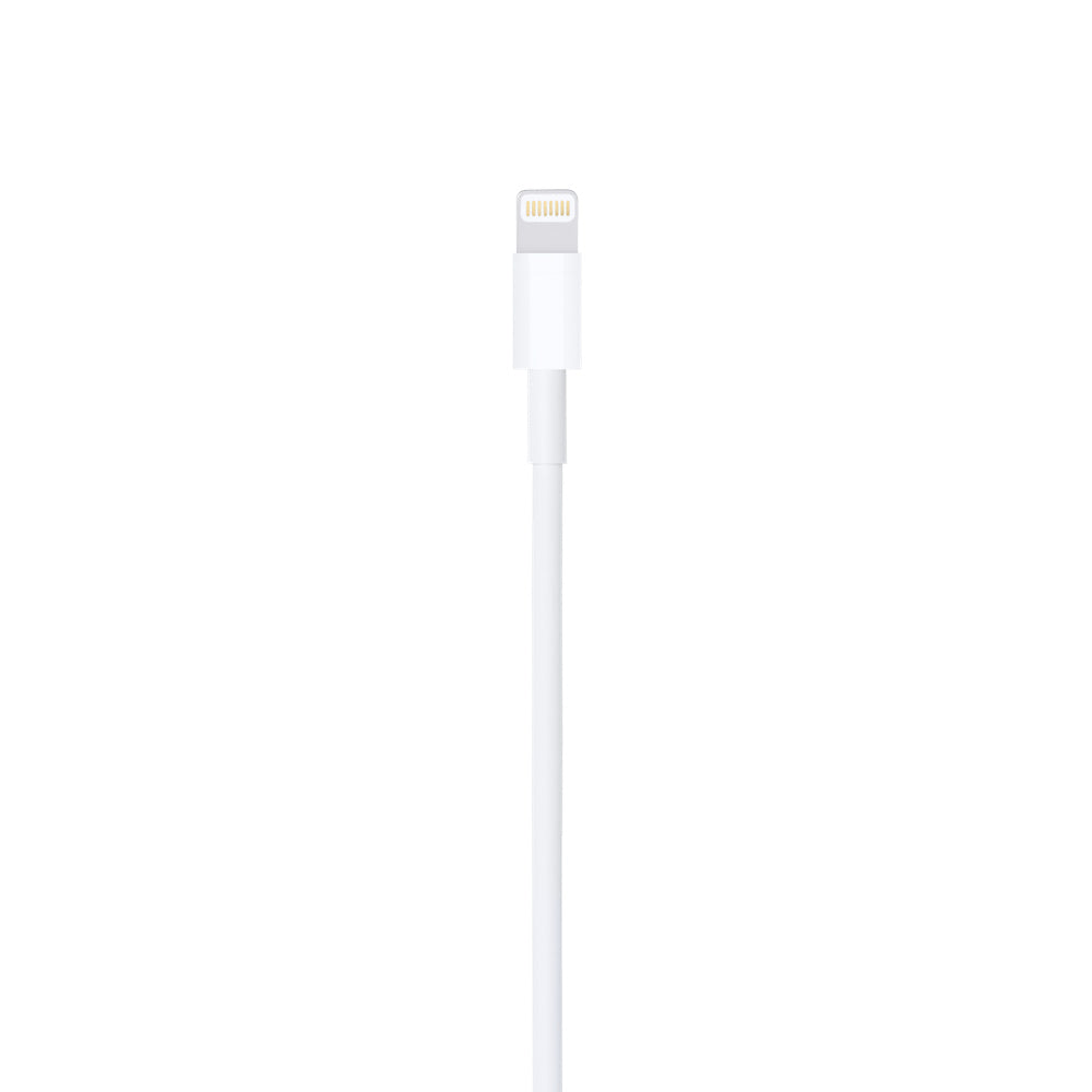 Buy Apple Lightning to USB Cable in Jordan - Phonatech