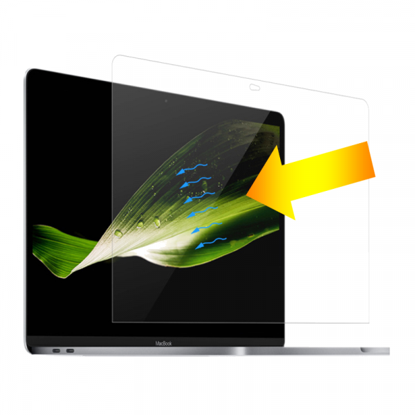 Buy Wiwu screen protector for macbook 16.2" 2021 - transparent in Jordan - Phonatech
